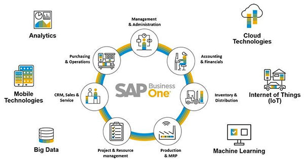 SAP Business One có tới hơn 30 phân hệ