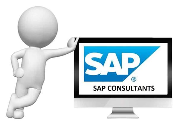 SAP Consultant sẽ đảm nhiệm nhiều vai trò quan trọng khác nhau tùy thuộc vào nhu cầu của doanh nghiệp