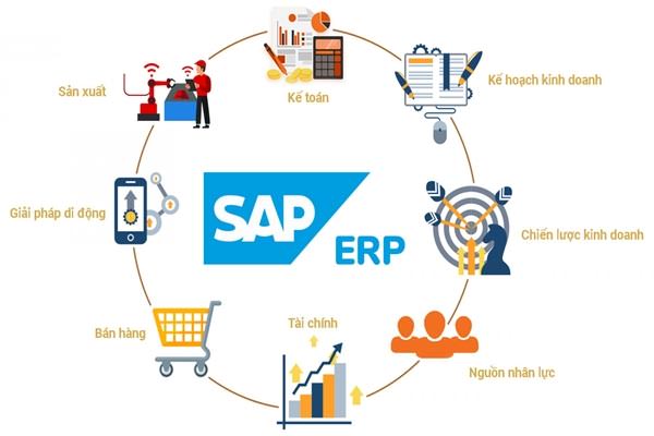 SAP ERP có khả năng bao quát toàn bộ nghiệp vụ của doanh nghiệp